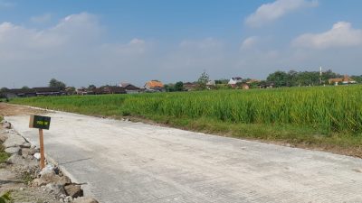 Syukur Mbah Suradi, Jalan Mulus TMMD Kini Permudah Angkut Hasil Panen