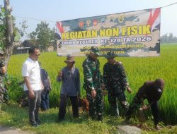 Satgas TMMD Tanam 500 Pohon di Sidikan