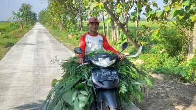 Jalan Cor Blok TMMD Permudah Peternak Domba Angkut Pakan