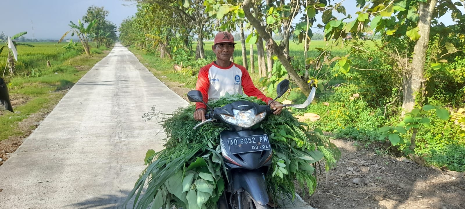 Jalan Cor Blok TMMD Permudah Peternak Domba Angkut Pakan