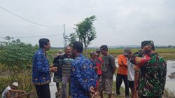 Babinsa Ngrampal Kawal MT III 2026, Petani Dibekali Strategi Hadapi Musim Kemarau Babinsa Ngrampal Kawal MT III 2026, Petani Dibekali Strategi Hadapi Musim Kemarau