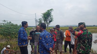 Babinsa Ngrampal Kawal MT III 2026, Petani Dibekali Strategi Hadapi Musim Kemarau Babinsa Ngrampal Kawal MT III 2026, Petani Dibekali Strategi Hadapi Musim Kemarau