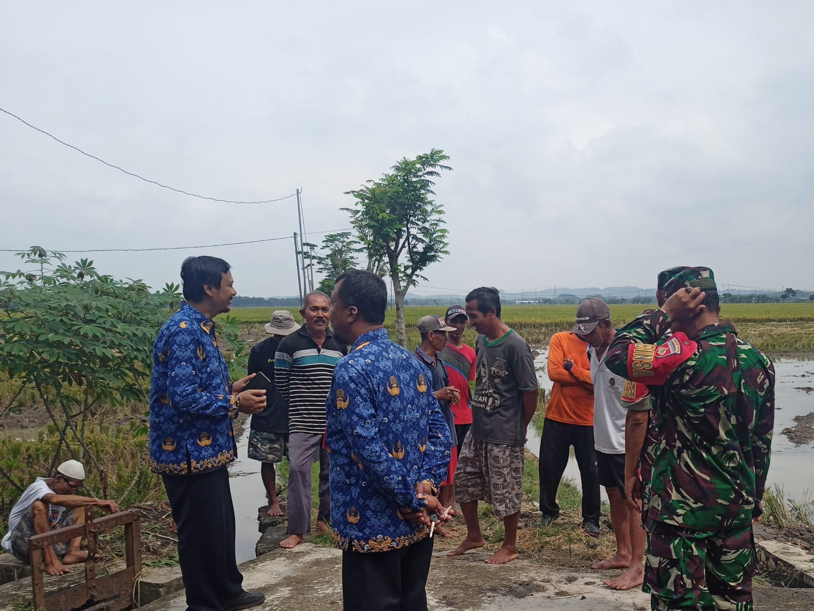 Babinsa Ngrampal Kawal MT III 2026, Petani Dibekali Strategi Hadapi Musim Kemarau