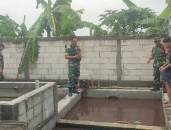 Pelda Thoyibi Pastikan Kolam Lele Warga Produktif, Langkah Nyata Mengawal Peternak Ikan