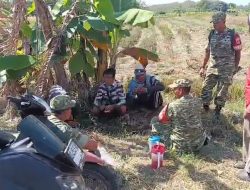 Cerita dari Pematang Sawah : Babinsa Hadir, Petani Padi Semakin Optimis