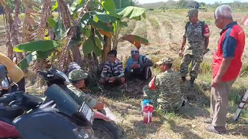 Cerita dari Pematang Sawah : Babinsa Hadir, Petani Padi Semakin Optimis
