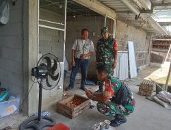 Babinsa Pastikan Produksi Telur Warga Berjalan Optimal dan Berkelanjutan