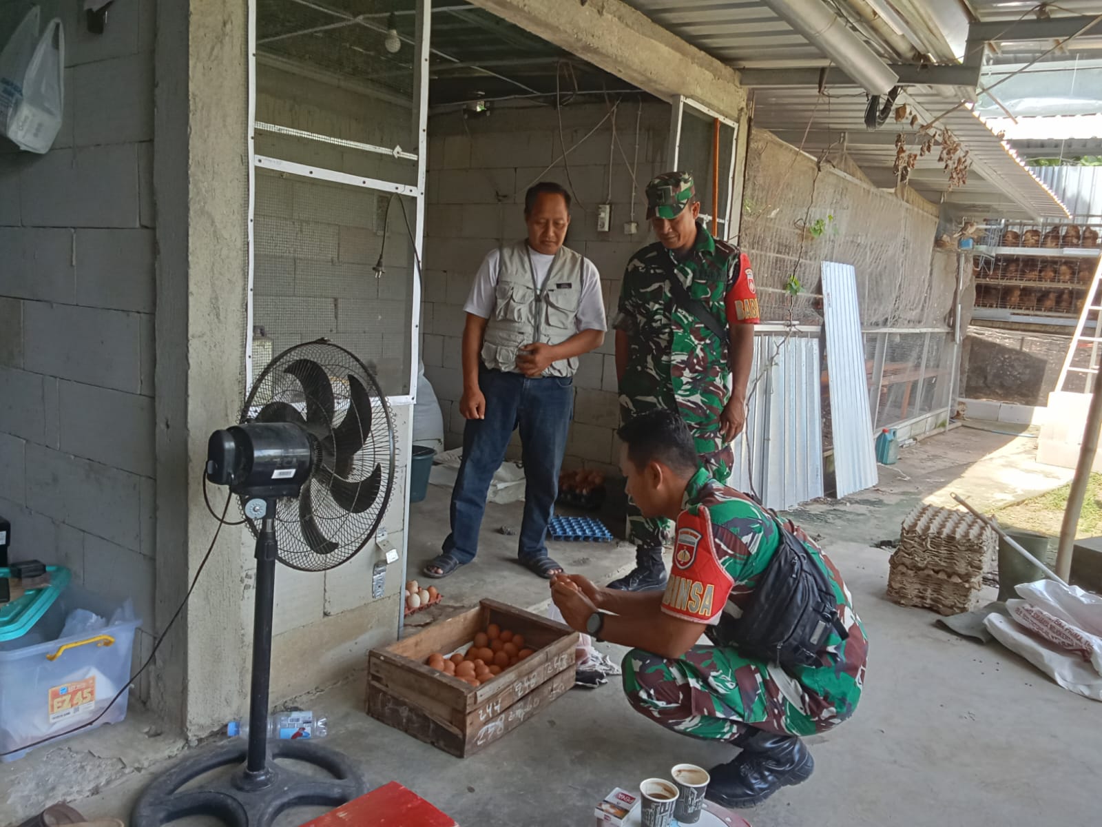 Babinsa Pastikan Produksi Telur Warga Berjalan Optimal dan Berkelanjutan