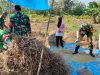 Panen Melimpah, Senyum Petani Mengembang Berkat Pendampingan Babinsa