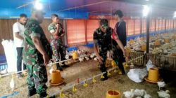 Dekat dengan Peternak, Batituud Jenar Hadir Dorong Produktivitas Ayam Broiler di Banyurip Dekat dengan Peternak, Batituud Jenar Hadir Dorong Produktivitas Ayam Broiler di Banyurip