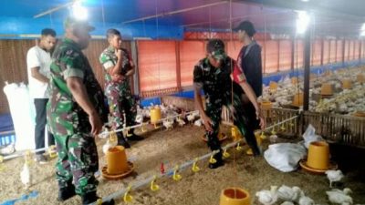 Dekat dengan Peternak, Batituud Jenar Hadir Dorong Produktivitas Ayam Broiler di Banyurip Dekat dengan Peternak, Batituud Jenar Hadir Dorong Produktivitas Ayam Broiler di Banyurip