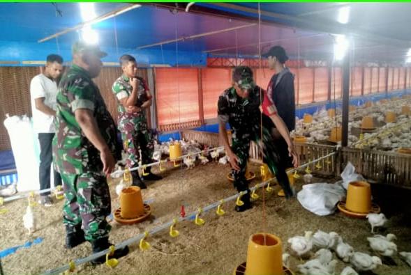 Dekat dengan Peternak, Batituud Jenar Hadir Dorong Produktivitas Ayam Broiler di Banyurip