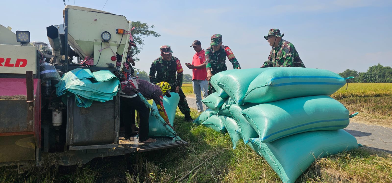 Panen MT II Menggembirakan, Koramil Jenar Dampingi Petani Raih Hasil Optimal
