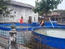Inspirasi dari Jurangjero: Babinsa dan Peternak Bersinergi Sukseskan Budidaya Lele