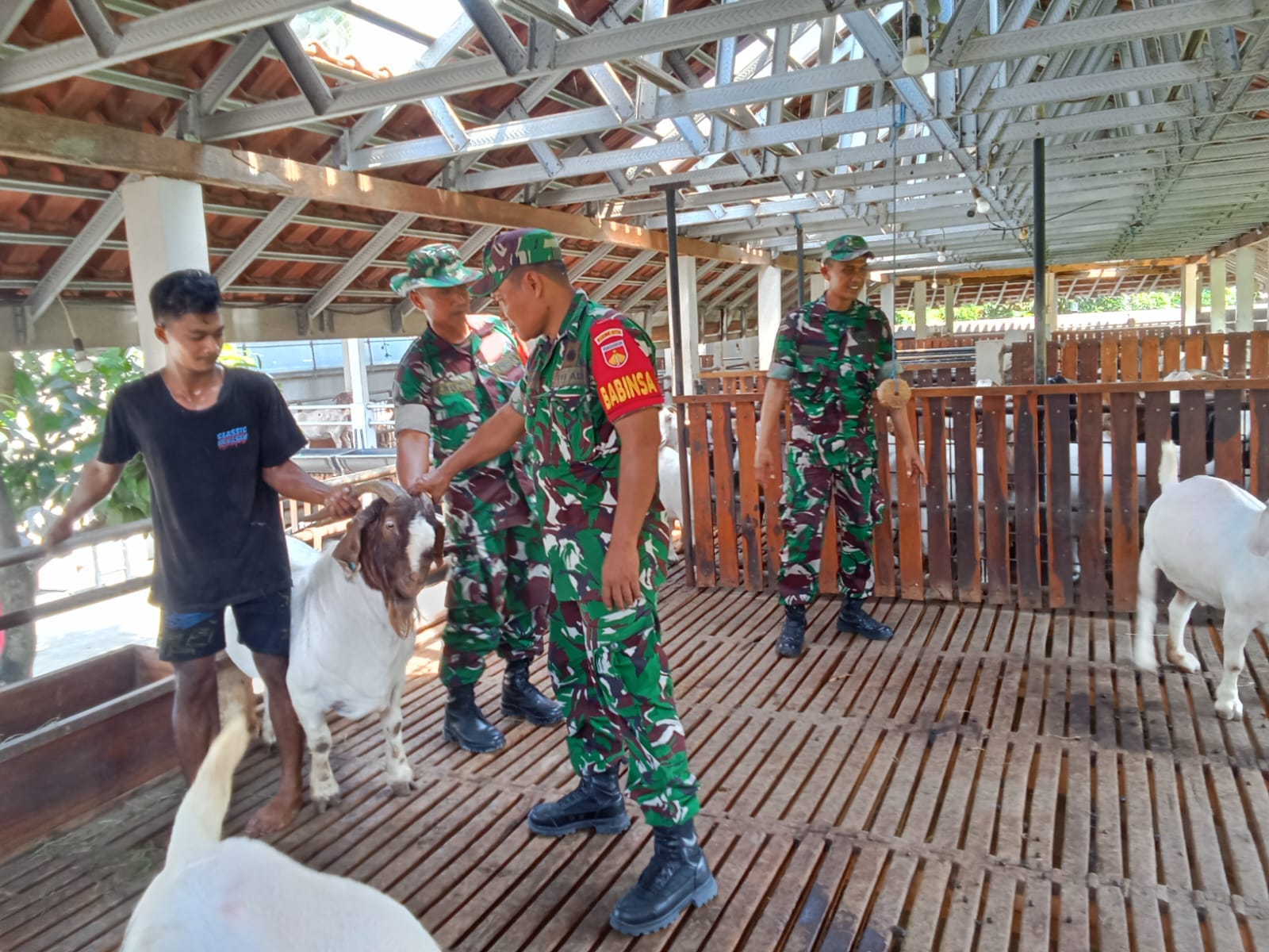 Sentuhan Personal Serka Giyanto, Benteng Pertahanan Ternak Warga dari PMK