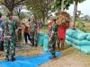 Babinsa Dampingi Panen, Petani Berharap Harga Gabah Kembali Membaik
