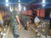 Harga Ayam Membaik, Koramil Jenar Dorong Semangat Peternak Broiler