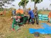 Babinsa Menyatu dengan Petani, Panen Padi Jadi Bukti Kepedulian