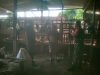 Babinsa Sambangi Kandang Penggemukan, Peternak Diajak Waspadai Penyakit Ternak Saat Cuaca Tak Menentu