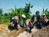 Babinsa dan Warga Satukan Tenaga, Jalan Rejosari Dicor Demi Lancarkan Akses Ekonomi