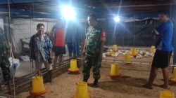 Babinsa Minta Peternak Jaga Kebersihan Kandang Demi Kenyamanan Warga Babinsa Minta Peternak Jaga Kebersihan Kandang Demi Kenyamanan Warga