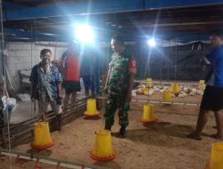 Babinsa Minta Peternak Jaga Kebersihan Kandang Demi Kenyamanan Warga