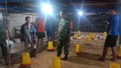 Babinsa Minta Peternak Jaga Kebersihan Kandang Demi Kenyamanan Warga Babinsa Minta Peternak Jaga Kebersihan Kandang Demi Kenyamanan Warga