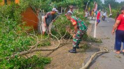Babinsa Gesi Tak Tunggu Musibah, Ajak Warga Pangkas Pohon Demi Keselamatan Bersama Babinsa Gesi Tak Tunggu Musibah, Ajak Warga Pangkas Pohon Demi Keselamatan Bersama