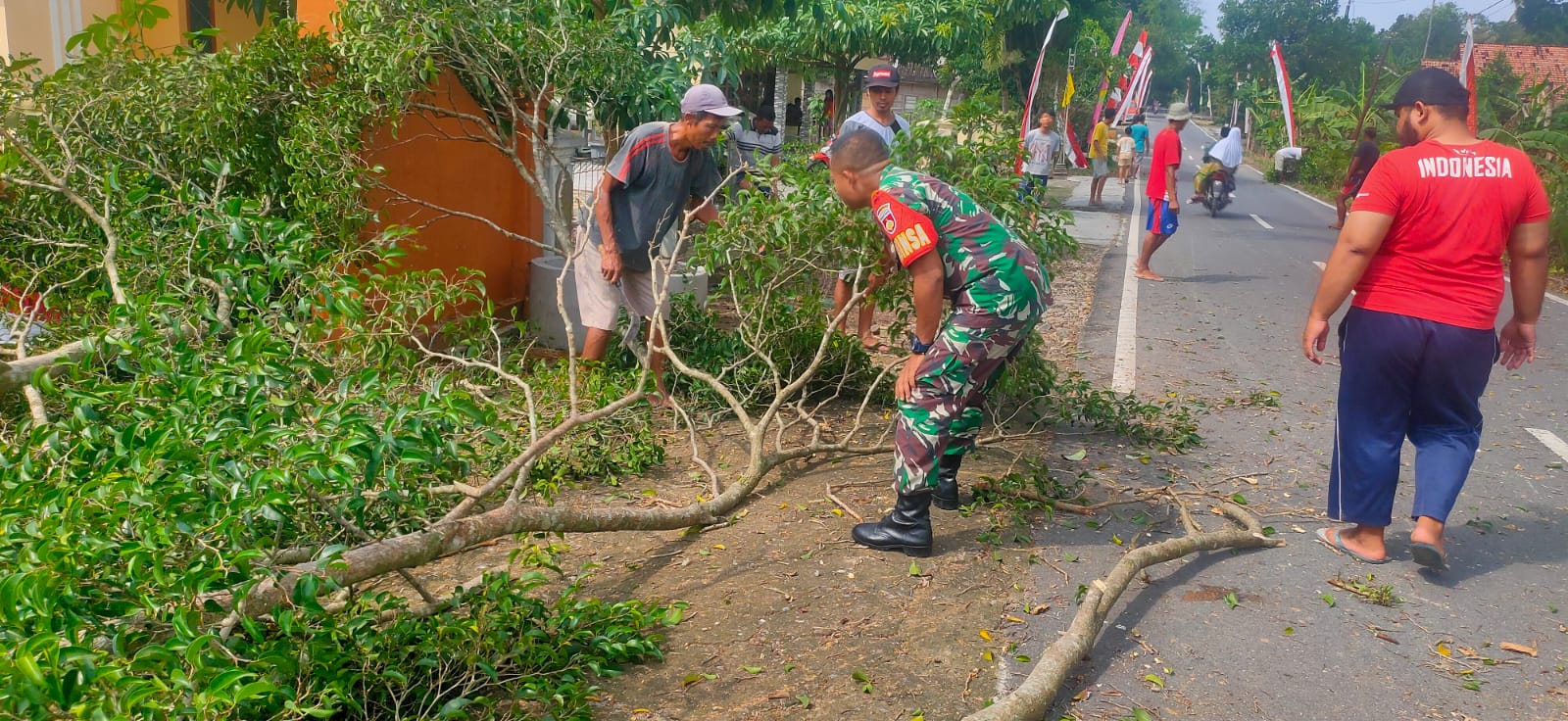 Babinsa Gesi Tak Tunggu Musibah, Ajak Warga Pangkas Pohon Demi Keselamatan Bersama