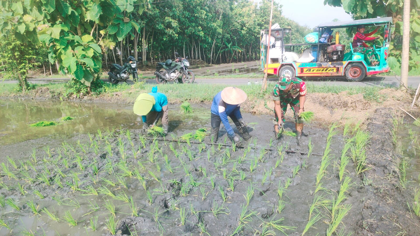 Babinsa Gesi Perkuat Pendampingan Petani Saat Musim Tanam