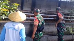 Babinsa Turun ke Kandang, Pastikan Produksi Telur Tetap Stabil