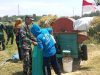 Dari Hamparan Padi Menguning, Babinsa dan Petani Panen Harapan