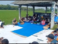 Babinsa Turun ke Sawah, Komsos Jadi Penguat Semangat Kelompok Tani