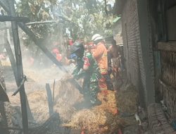 Babinsa Ngrampal Turun Tangan Padamkan Kandang Sapi Terbakar