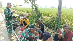 Babinsa Guworejo Perkuat Sinergi dengan Petani untuk Jaga Kamtibmas