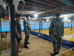Babinsa Ngrampal Cek Kandang Ayam Pedaging, Tekankan Kebersihan dan Kenyamanan Warga
