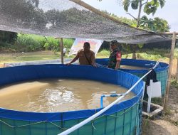 Babinsa Galeh Turun ke Kolam Lele BUMDes, Jaga Usaha Desa Tak Picu Polemik Warga