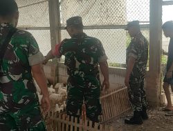 Cegah Gangguan Warga, Babinsa Ngrampal Cek Kandang Ayam Potong di Pilangsari