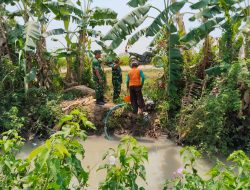 Babinsa Ngrampal Turun ke Sawah, Dampingi Petani Atasi Kebutuhan Air Tanaman Padi