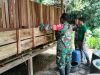 Babinsa Ngrampal Cek Kandang Kambing Warga, Ingatkan Kebersihan Demi Ternak Sehat dan Lingkungan Nyaman