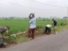 Jalan Bersih, Warga Peleman Kompak Bersama Babinsa Gotong Royong