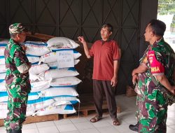 Petani Tak Perlu Cemas, Babinsa Mojorejo Turun Cek Pupuk Langsung ke Kios