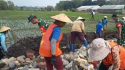 Tak Hanya Jaga Wilayah, Babinsa Pelemgadung Ikut Angkat Material Bangun Talud Jalan