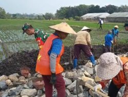Tak Hanya Jaga Wilayah, Babinsa Pelemgadung Ikut Angkat Material Bangun Talud Jalan