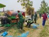 Dari Sawah Ngarum, Babinsa Ngrampal Perkuat Kedekatan dengan Petani, Ketahanan Pangan Jadi Perhatian