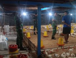 Babinsa Gesi Dorong Peternak Jaga Kebersihan Kandang Ayam, Cegah Bau Ganggu Warga