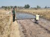 Dari Persemaian, Babinsa Ngembat Padas Ikut Mengawal Harapan Panen Petani