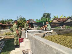 Langkah Proaktif Babinsa Ngrampal Sragen, Dampingi Warga Geliatkan Budidaya Lele Mandiri