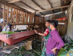 Pantau Kandang Kambing Warga, Babinsa Gemolong Perkuat Kepedulian terhadap Usaha Peternakan