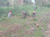 Jalan Bersih, Warga Nyaman! Babinsa Gesi dan Masyarakat Gotong Royong Rawat Lingkungan